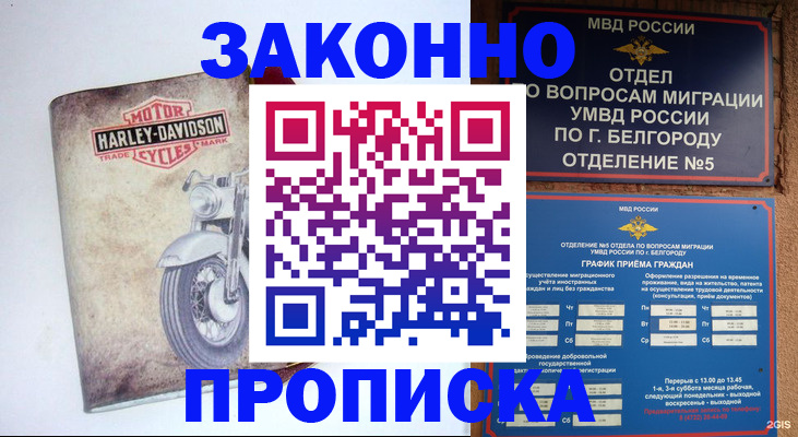 прописка для школы в Красногорске